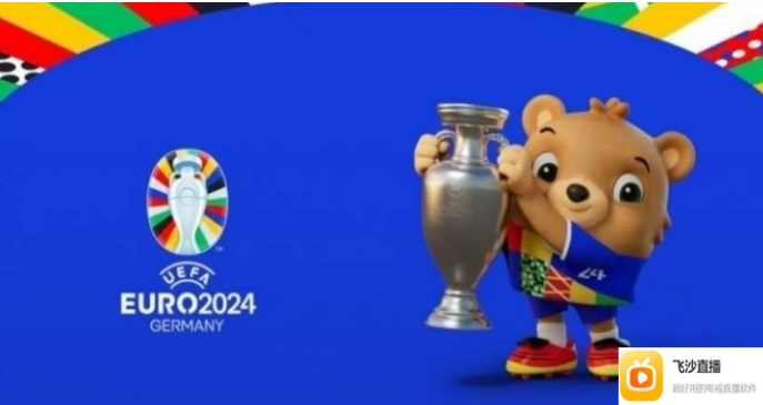 2024年欧洲杯规则情况介绍，如何使用智